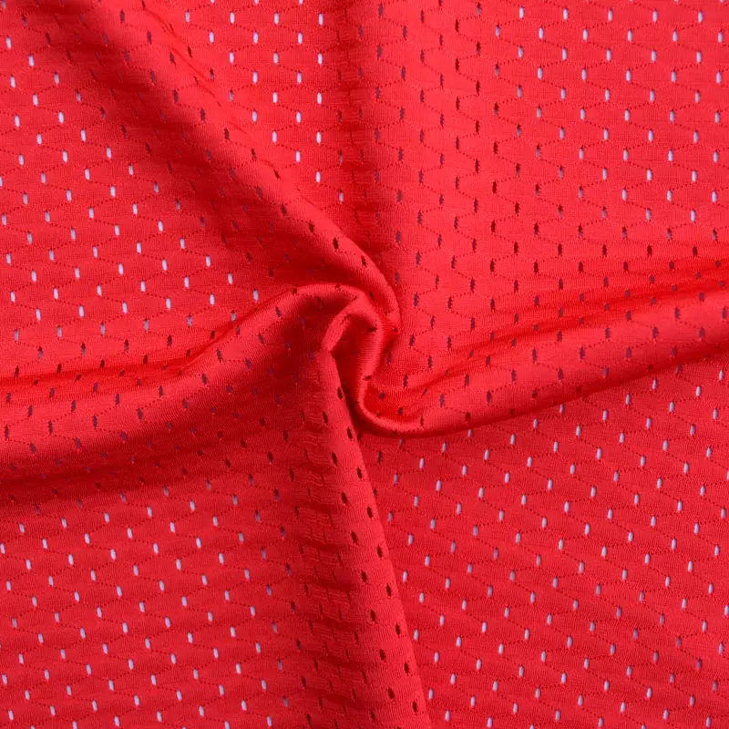 Pin Hole Mesh Polyester Fabric