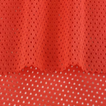 Pin Hole Mesh Polyester Fabric