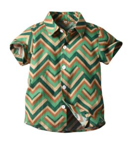 Boys Wave Pattern Printed Shirts